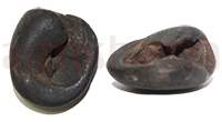 Shaligram 10756 40gm